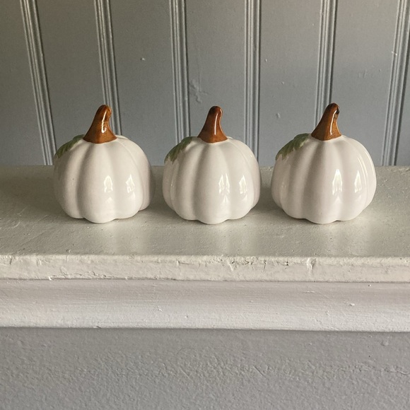 NWT- Set of 3- White- Green Leaf - Porcelain Glazed Fall Pumpkin Decorations 🍂 - Picture 10 of 16